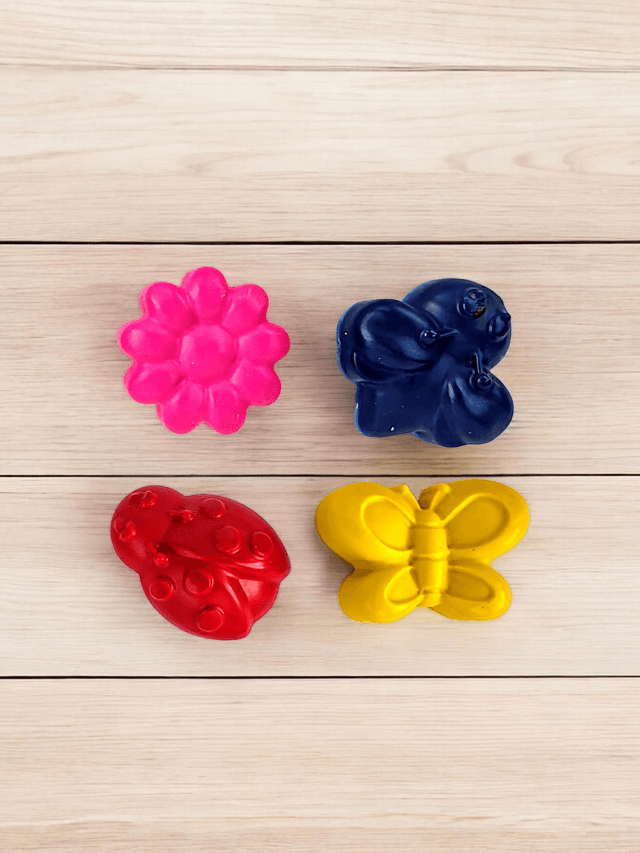 Nature Crayon Set 